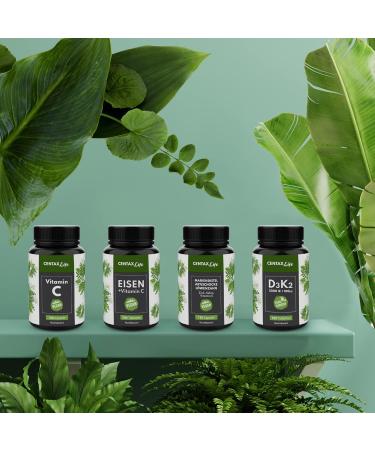Mary Thistle Complex - 80% Silymarin Capsules with Dandelion & Artichokes | High Dose Vegan Supplement with Zinc Selenium & Vitamin E - 120 Lab-Tested Capsules - Buy Online on GoSupps.com