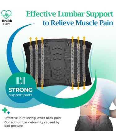 Adjustable Back Brace for Lower Back Pain Relief - Lumbar Support Belt for Men and Women, Ideal for Heavy Lifting, Sciatica, Scoliosis, Herniated Disc - Breathable Mesh Design with Lumbar Pad (Large) - Buy Online on GoSupps.com