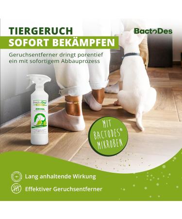 BACTODES Animal Odor Neutralizer 1L Spray - Strong Enzyme Cleaner for Cat Dog & Animal Smells - Effective Organic Microbe Odor Remover - Buy Online on GoSupps.com