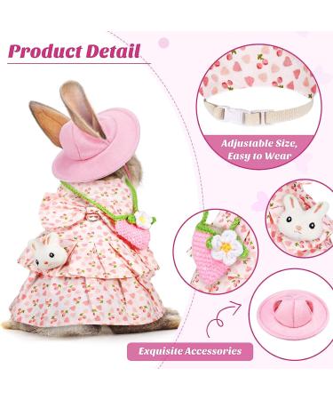 Pet Rabbit Bunny Easter Costume Set with Leash, Hat, and Mini Bag - Pineapple and Cherry Design | Small Animals Accessory for Rabbit, Hedgehog, Ferret, Guinea Pigs, Squirrel - Buy Online on GoSupps.com