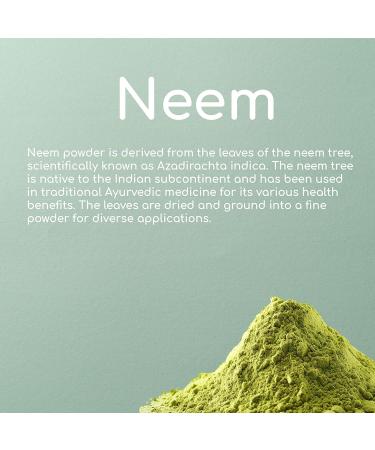 Biiome Premium Neem Leaves Powder - 100% Pure & Organic for Skin, Hair & Immunity | Detox & Dandruff Control - Buy Online on GoSupps.com