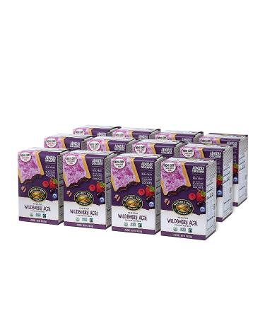 Nature's Path Organic Frosted Wildberry Acai Toaster Pastries - 11oz (Pack of 12) | Non-GMO, Real Fruit - Buy Online on GoSupps.com