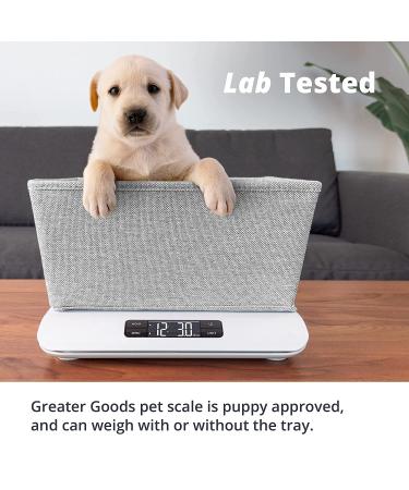 Greater Goods Digital Pet Scale - Accurate Weighing for Kittens, Rabbits & Puppies | Wiggle-Proof Design | Made in St. Louis - Buy Online on GoSupps.com