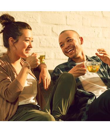 Lipton Tcha Green Tea Cold or Hot Infusion Mint Flavor Freshness 100% Natural Ingredients 20 Sachets P - Buy Online on GoSupps.com