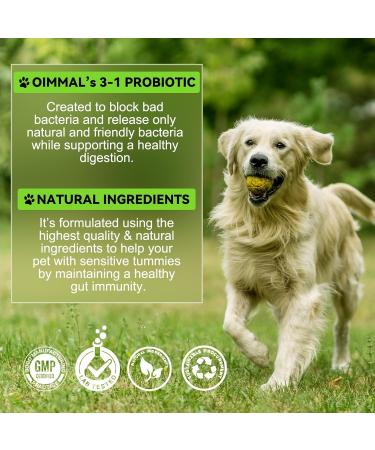 Probiotic for Dogs Natural 3 in 1 Dog Probiotic Drops Helps Relieve Diarrhea Supports Gut Health Itchy Skin Allergies Immunity Digestive Enzyme for Dog Supplement Bacon Flavor - 2 fl.oz - Buy Online on GoSupps.com