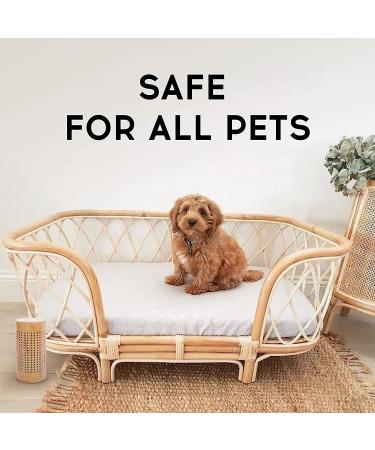 APRAII Charcoal Bag Odor Absorber - Activated Charcoal Bags for Home - Air Purifying & Moisture Absorbing Bamboo Charcoal Purifier - Odor Eliminator & Closet Freshener - Buy Online on GoSupps.com