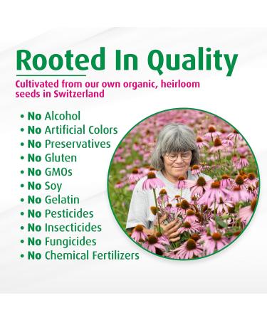 A. Vogel Echinaforce - Packaged Fresh Organic Echinacea Stronger Formula Than Dehydrated - 120 Tablets for Immune Support Supplement - Daily Herbal Immune Health Booster - Easy to Swallow 120 Count (Pack of 1) - Buy Online on GoSupps.com