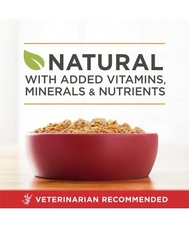 Purina ONE Smartblend Wet Dog Food Chicken & Brown Rice Entr e 368g can (12 pack) Wet Dog Food Chicken & Brown Rice 368 g (Pack of 12) - Buy Online on GoSupps.com