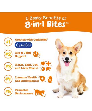Zesty Paws 5-in-1 Multivitamin Bites for Dogs - Peanut Butter Flavor, 90 Soft Chews - Buy Online on GoSupps.com