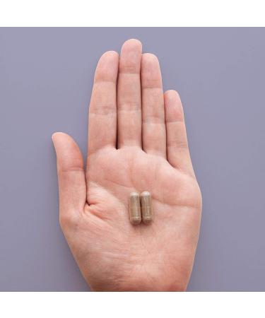 HEAL + CO. Elderberry Complex | Elderberry Garlic Echinacea Vitamin C & Zinc | Immune Support Supplement | 120 Capsules - Buy Online on GoSupps.com