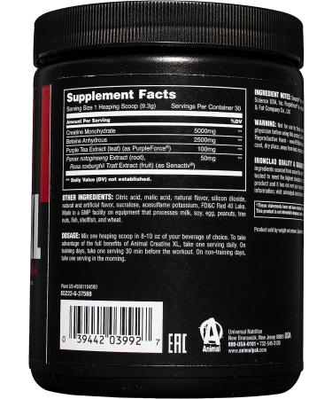 Animal Creatine XL Powder with PurpleForce & Senactiv - Enhanced Creatine Monohydrate Supplement for Endurance and Recovery - Watermelon Flavor - 9.84 oz - Buy Online on GoSupps.com