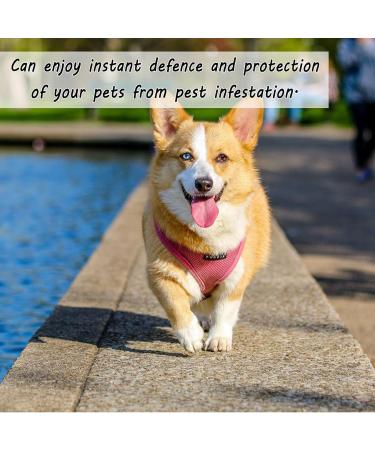 Buy Longhao Waterproof Dog Flea Collar (2 PCs) - Adjustable Tick Protection for Dogs & Cats Fits All Sizes - Shop Now! - Buy Online on GoSupps.com