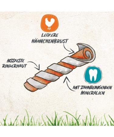 8in1 Pro Dental Twisted Sticks for Dogs - Healthy Chewing Dental Care 10 Pack - Buy Online on GoSupps.com