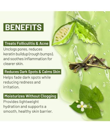 ABERA High-Performance Folliculitis Body Wash with Wild Bitter Melon Extract, BHA Shower Gel, Reduces Back Acne & Keratosis Pilaris, Folliculitis Treatment, Acne Body Wash for Sensitive Skin, 10.14 oz A. 1 Box - Buy Online on GoSupps.com