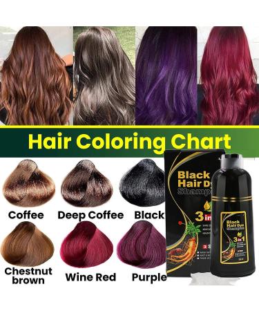 EPMANN 500ml Instant Hair Color Shampoo for Gray Hair - 3 in 1 Easy Hair Dye - 100% Gray Coverage - Herbal Coloring for Men & Women - 17 Fl Oz (Black) - Buy Online on GoSupps.com