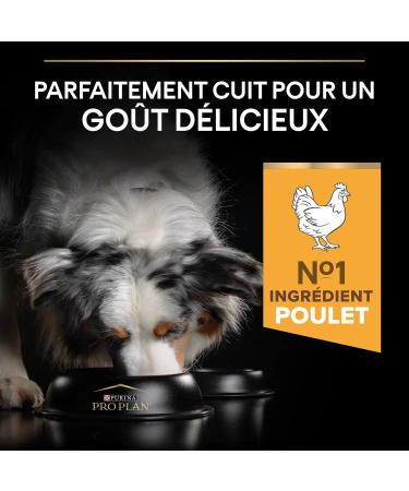 PURINA PRO PLAN | Adult 1+ Light/Sterilised | Rich in Chicken | Dry Food | Dog | 3kg Bag - Buy Online on GoSupps.com