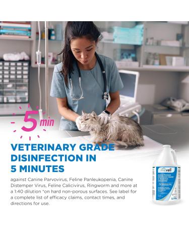 Prevail One-Step Disinfectant Cleaner & Deodorizer Concentrate for Veterinary Use Animal Shelters Pet Foster Homes Kennels Litter Boxes 3.78 Litre/1 Gallon - Buy Online on GoSupps.com