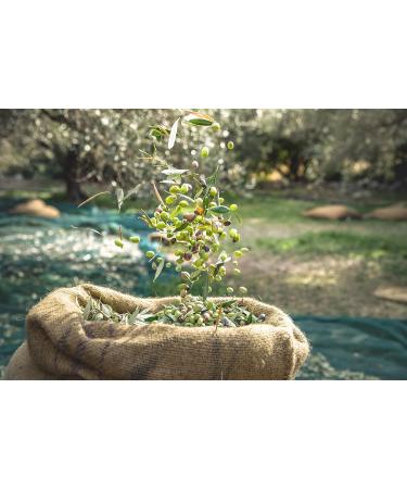 Setunea Organic Olive Oil Hand Wash 250ml - Buy Online on GoSupps.com