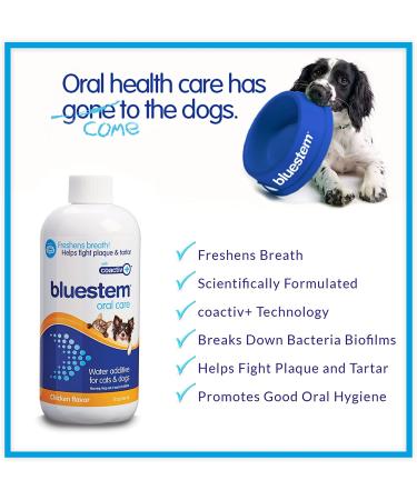 Pet Water Additive Oral Care: for Dogs & Cats Bad Breath  Dental Rinse Freshener Treats Plaque & Teeth Tartar. Dog & Cat Mouth Clean Health Treatment for Pets Drinking Bowl Chicken - Buy Online on GoSupps.com