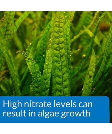 API NITRATE 90-Test Aquarium Water Test Kit for Freshwater and Saltwater - Buy Online on GoSupps.com