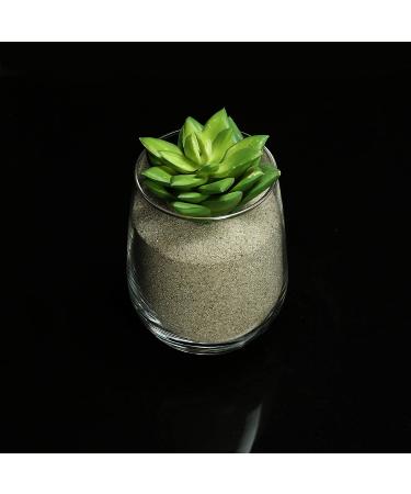 2 lb Natural Decorative Real Sand for Vase Filler, Interior Decor, Sand Crafts - Buy Online on GoSupps.com