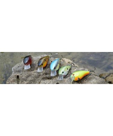 Tackle HD 2-Pack Square Bill Crankbait - 2.75 Lipped Rattle Crankbaits with Fishing Hooks for Crappie, Walleye, Perch, or Bass Fishing - Red Craw Design - Buy Online on GoSupps.com