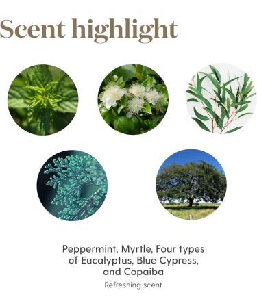 Breathe Again Essential Oil Roll On by Young Living - 10ml for Easy Relief with Copaiba Myrtle & Peppermint - Premium Eucalyptus Blend - Buy Online on GoSupps.com