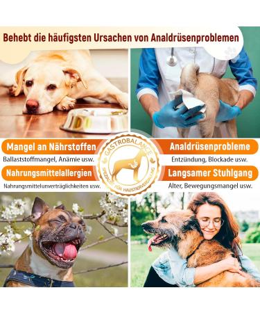 GastroBalance Healthy Anal Glands Dog Chews - 100% Natural 60 Soft Chews for Optimal Anal Gland Health - German Quality - Buy Online on GoSupps.com