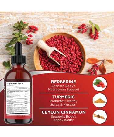 Berberine with Ceylon Cinnamon Supplement Liquid Drops + Bitter Melon Extract Glucomannan Gymnema Chromium Turmeric Panax Ginseng Moringa- 8 OZ 8 Fl. Oz (Pack of 4) - Buy Online on GoSupps.com