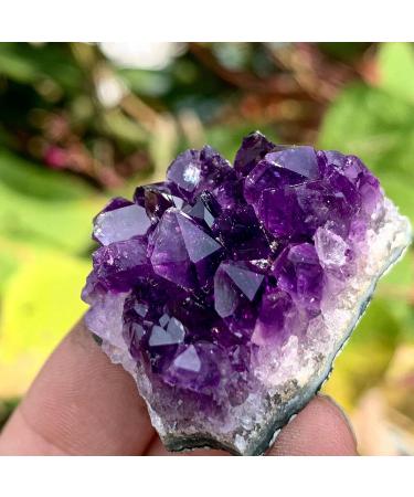 Natural Amethyst geode Quartz Cluster Specimen70-80g - Buy Online on GoSupps.com