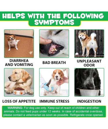 Probiotics for Dogs Pre & Probiotic Digestive Treats for Dogs Support Gut Health Digestive and Immunity Boost Heatlth & Energy for All Ages and Breeds 120 Chews Duck Flavor - Buy Online on GoSupps.com