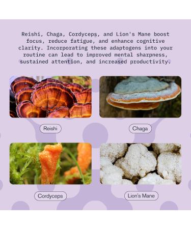 Mushroom Supplement Drink Fast-Acting Vitality Blend Cordyceps Reishi Chaga Lion s Mane Ashwaganda for Adults Chai Spice Flavor 2 fl oz (3 Pack) Vitality (Chai Spice) 0.67 Fl Oz (Pack of 3) - Buy Online on GoSupps.com