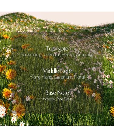 Mood Enhancer Euphoria Face & Body Oil - Vegan Aromatherapy Nourishing Herbal & Lavender Oil for Glowy Skin - 2.7 fl. oz (80ml - Buy Online on GoSupps.com