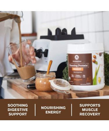 Amazing Grass Protein Digest Mayan Chocolate 14.2 oz - 5 Billion CFU - Vegan Superfood - Buy Online on GoSupps.com