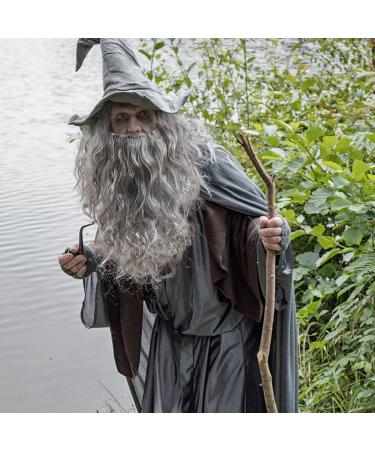 UILYNIU Wizard Wig and Long Beard Men's Long Curly Grey Wig Cosplay Wizard Sorcerer Prophet Wig for Carnival Halloween Christmas Costume Wigs Old Men Cosplay Wig Adult Fancy Dress Party Wig (Grey) - Buy Online on GoSupps.com