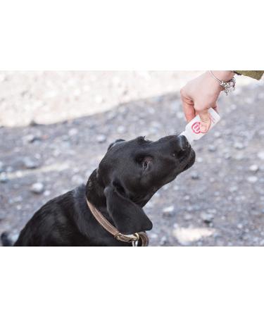 Mikki 6221106 F tterset | International Shipping | High-Quality Feeding Set for Pets - Buy Online on GoSupps.com