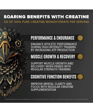 BIRDMAN Falcon Performance Vegan Protein Powder 31g Protein 5g Creatine 5g BCAA Probiotics Electrolytes Pre Workout Low Carb Sugar Free & Dairy Free Plant Based Vanilla Protein -19 Servings Golden Vanilla 1.9 Pound  - Buy Online on GoSupps.com