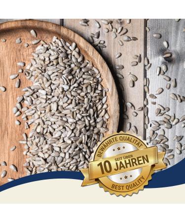 Lyra PET 10 kg Sunflower Seeds | Premium Wild Bird Feed | Year-Round Nutrition | Ideal for Young Birds | Shell-Free Energy Source | Summer & Winter Feed - Buy Online on GoSupps.com