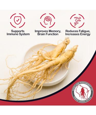 Dairyland American Ginseng Extract 2 Fl oz Authentic Wisconsin Ginseng Liquid for Healthy Energy Vitality Mood and More- Non-GMO Gluten Free - Ginseng Herb Supplement for Daily Use American Ginseng Extract 2 Fl O  - Buy Online on GoSupps.com