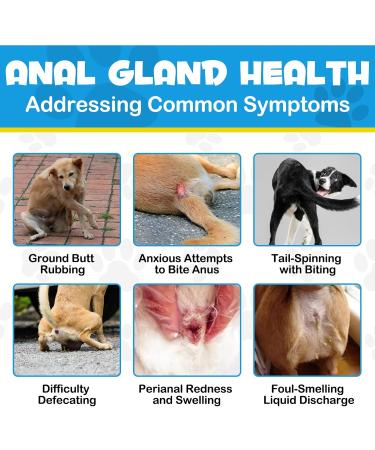 Anal Gland Support Supplement for Dogs 375G Dog Diarrhea Support Supplements Dog Analgland Digestive Support Supplement Treatment Chews & Healthy Bowel Function with Digestive Enzymes & Probiotics - Buy Online on GoSupps.com