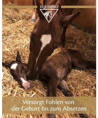 Equistro Ipaligo Foal 3x14g Oral Syringe - Buy Online on GoSupps.com