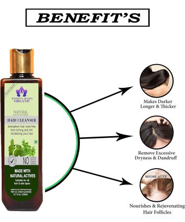 Blessfull Healing Organic Natural Hair Cleanser | Shampoo 200 ML (Packing May Vary) - Buy Online on GoSupps.com