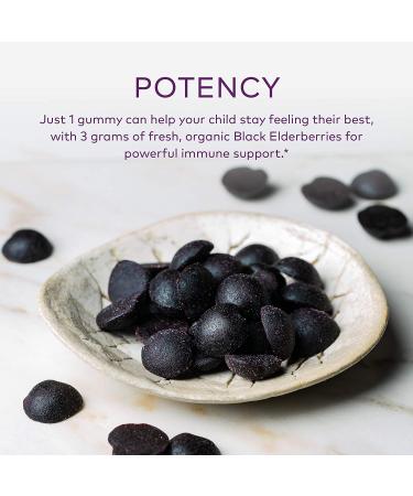 Gaia Herbs Kids Elderberry Immune Support Gummies - 40 Vegan Gummies - Buy Online on GoSupps.com