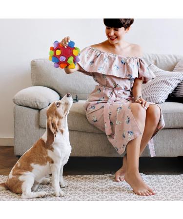 Larimu Sniffing Ball for Dogs | Interactive Snuffle Toy for Small & Medium Pets | Portable Sniffing Car Toys (Red & Rainbow) - Buy Online on GoSupps.com