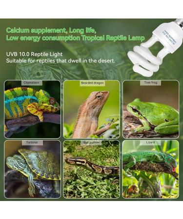 Caldarax 10.0 UVA UVB Bulb - 13W Compact Light for Desert Reptiles | E27 Tortoise Reptile Light for Lizard, Turtle, Snake, Chameleon, Bearded Dragon - Buy Online on GoSupps.com