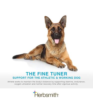Herbsmith Athlete Canine Endurance Supplement 500g Powder - For Working and Agility Dogs - Buy Online on GoSupps.com