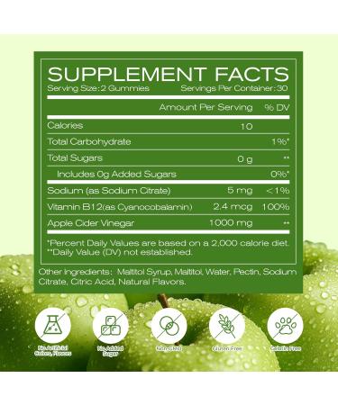 NEWELLME Sugar-Free Apple Cider Vinegar (ACV) Gummies with The Mother & B12 Vegan Organic Vitamin Gummies for Digestion Energy & Metabolism Gluten-Free Multivitamin Support 60 Counts 60 count(pack of 1) - Buy Online on GoSupps.com