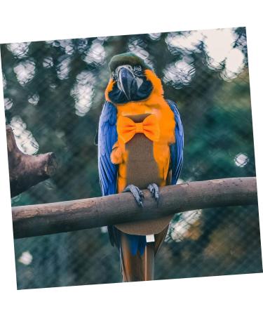 Shop PopetPop Flying Bird Diapers for Parrots | Cute Bowknots Costume & Protection | International Shipping Available - Buy Online on GoSupps.com