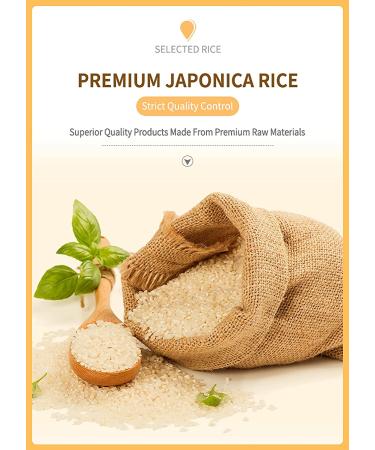 Baby Mum-Mum Rice Rusks Vegetable 24 Pieces (Pack of 6) - Gluten Free, Allergen Free, Non-GMO Teether Cookie for Teething Infants - Buy Online on GoSupps.com