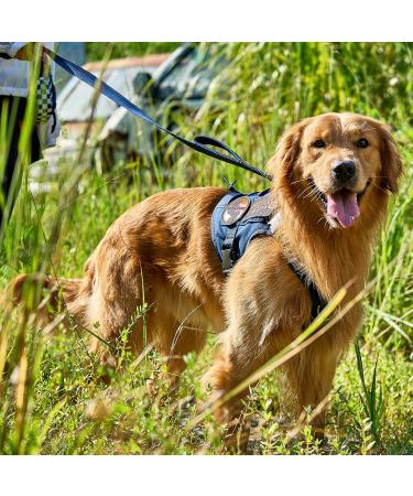 OneTigris Double Dog Leash with Reflective Stripes - S (122cm) - Blue | Best for Safe & Comfortable Walks - International Shipping Available - Buy Online on GoSupps.com